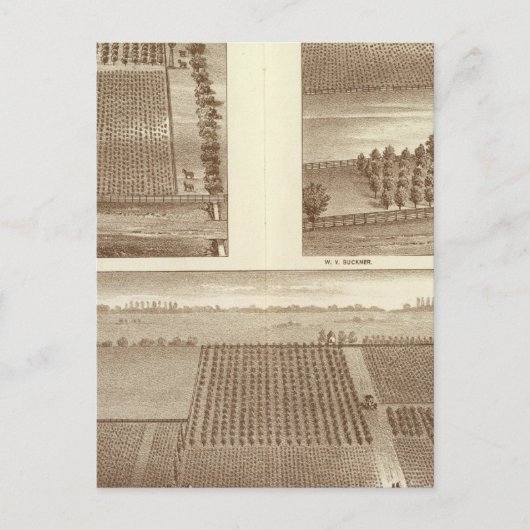 Lemoore ranches briefkaart (Voorkant)