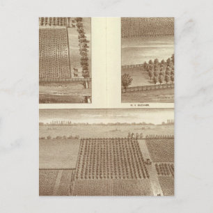 Lemoore ranches briefkaart