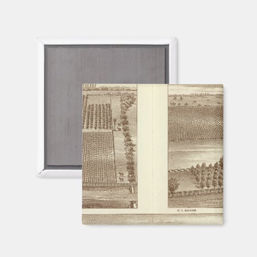 Lemoore ranches magneet (Voorkant / Achterkant)