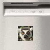 Lemur1 magneet (Insitu (Vaatwasser))