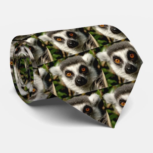 Lemur1-Stropdas Stropdas (Opgerold)