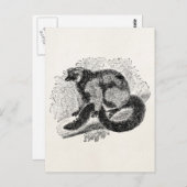  Lemur 1800s Lemurs Illustration Sjabloon Briefkaart (Voorkant / Achterkant)