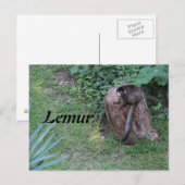 Lemur # 1 briefkaart (Voorkant / Achterkant)