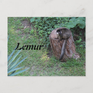 Lemur # 1 briefkaart