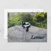 Lemur # 2 briefkaart (Voorkant / Achterkant)