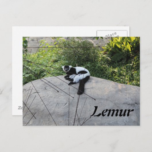 Lemur # 2 briefkaart (Voorkant / Achterkant)