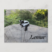 Lemur # 2 briefkaart (Voorkant)