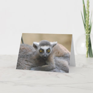 Lemur-Baby-Wenskaart Kaart