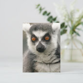 Lemur Briefkaart (Staand voorkant)