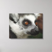 Lemur Canvas Afdruk (Voorkant)