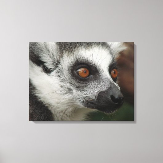 Lemur Canvas Afdruk (Voorkant)