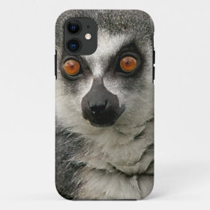 Lemur iPhone 11 Hoesje
