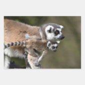 Lemur Catta familie Inpakpapier Vel (Voorkant 3)
