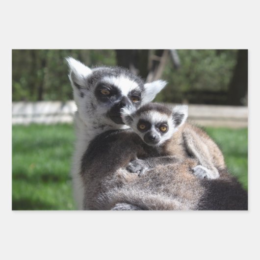 Lemur Catta familie Inpakpapier Vel (Voorkant 2)