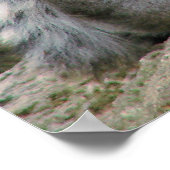 Lemur Cuddles Poster (Hoek)