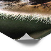 Lemur en Pup Poster (Hoek)