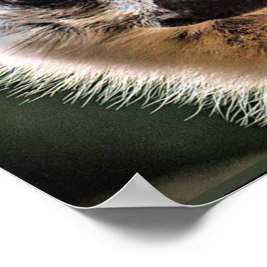 Lemur en Pup Poster (Hoek)