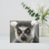 Lemur Face Briefkaarten (Staand voorkant)