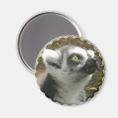 Lemur fotomagneet magneet (Voorkant / Achterkant)