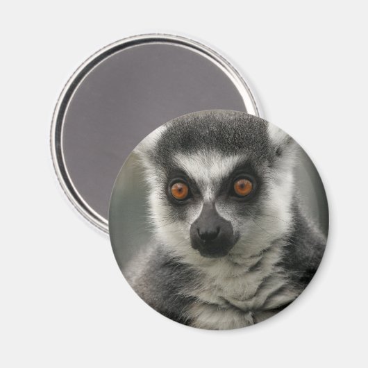 Lemur Gezichtsmagneet Magneet (Voorkant / Achterkant)