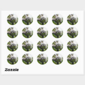 Lemur in de Openlucht Ronde Sticker (Vel)