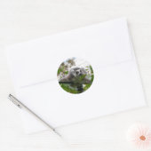 Lemur in de Openlucht Ronde Sticker (Envelop)