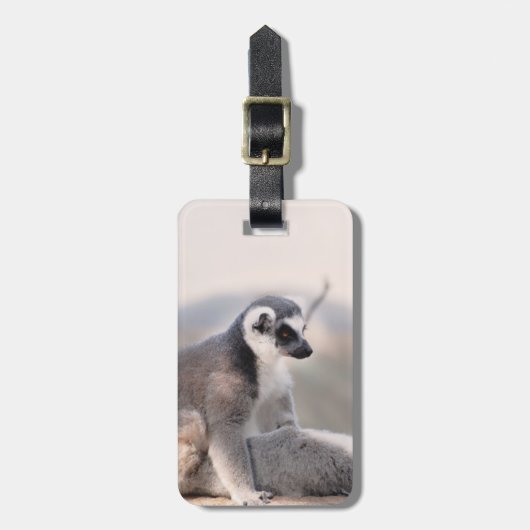 Lemur in Madagaskar Bagagelabel (Voorkant verticaal)