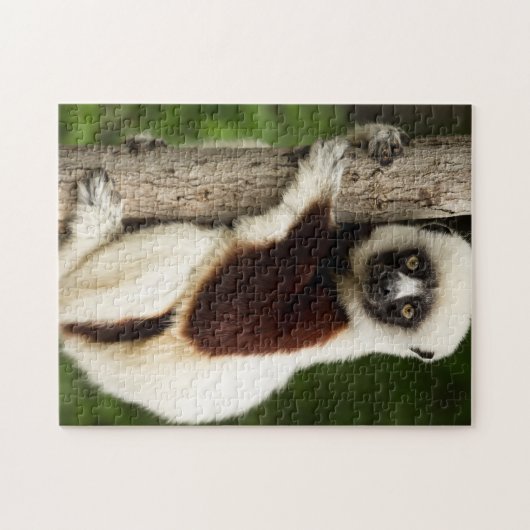 LEMUR JIGSAW PUZZZLE LEGPUZZEL (Horizontaal)