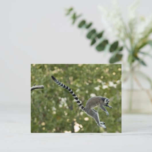 Lemur Jump Briefkaart (Staand voorkant)