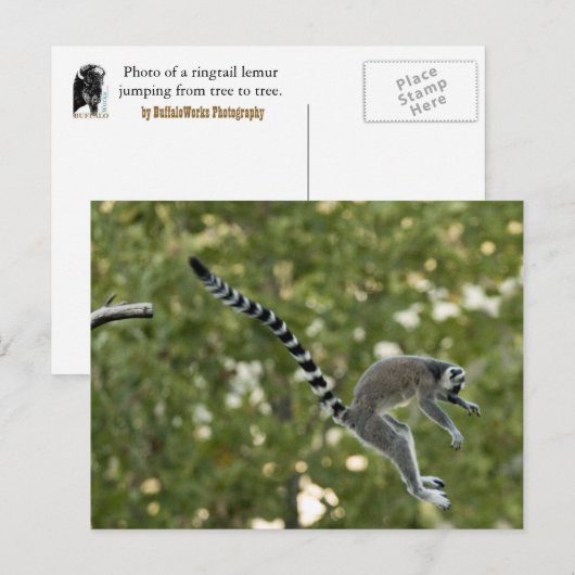Lemur Jump Briefkaart (Voorkant / Achterkant)