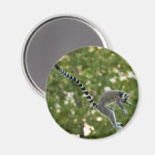 Lemur Jump Magnet (Voorkant / Achterkant)