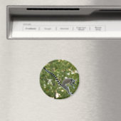 Lemur Jump Magnet (Insitu (Vaatwasser))
