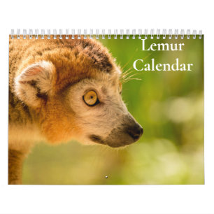 Lemur Kalender 2027