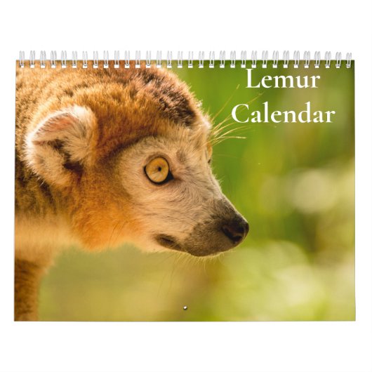 Lemur Kalender 2027 (Hoes)