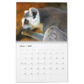 Lemur Kalender 2027 (Mar 2027)