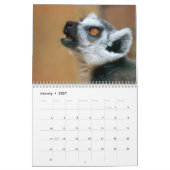 Lemur Kalender 2027 (Jan 2027)