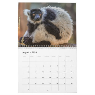 Lemur Kalender 2027