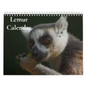 Lemur Kalender 2027 (Hoes)