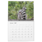 Lemur Kalender 2027 (Jan 2027)