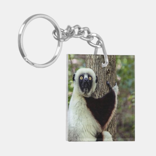 Lemur knuffelt een boom sleutelhanger (Voorkant Links)