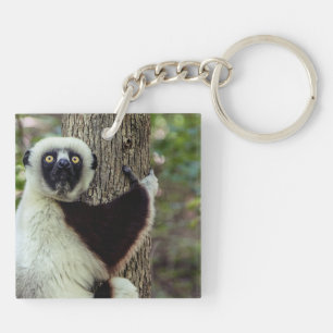Lemur knuffelt een boom sleutelhanger