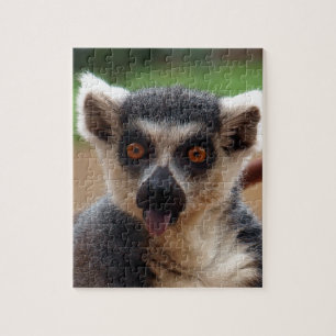 Lemur Legpuzzel