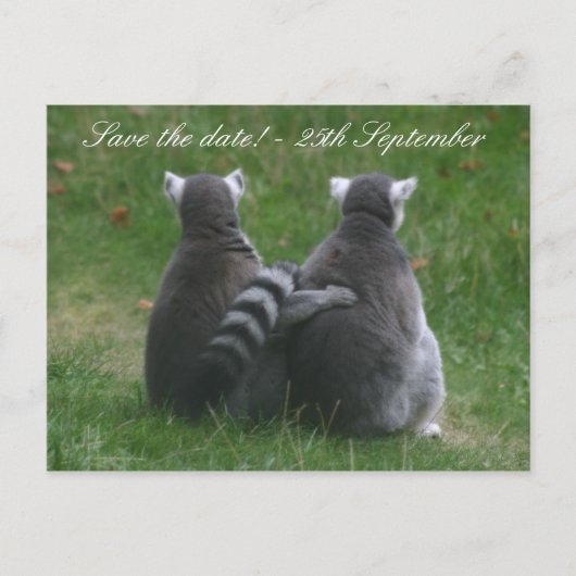 Lemur liefde! ... Sla de datum op! Aankondigingskaart (Voorkant)