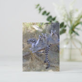 Lemur Line Briefkaart (Staand voorkant)