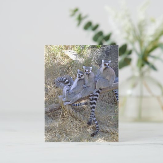 Lemur Line Briefkaart (Staand voorkant)