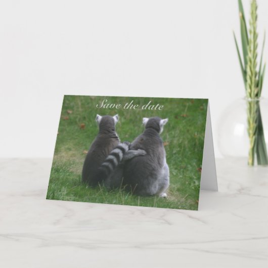 Lemur love. ... Save the date Aankondiging (Voorkant)