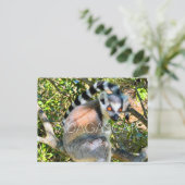 Lemur, Madagaskar Reisansichtkaart Briefkaart (Staand voorkant)