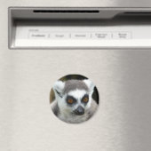Lemur Magneet (Insitu (Vaatwasser))