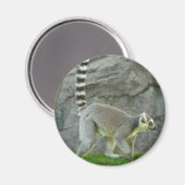 Lemur Magneet (Voorkant / Achterkant)