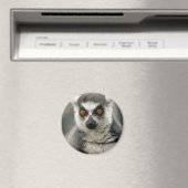 Lemur Magneet (Insitu (Vaatwasser))
